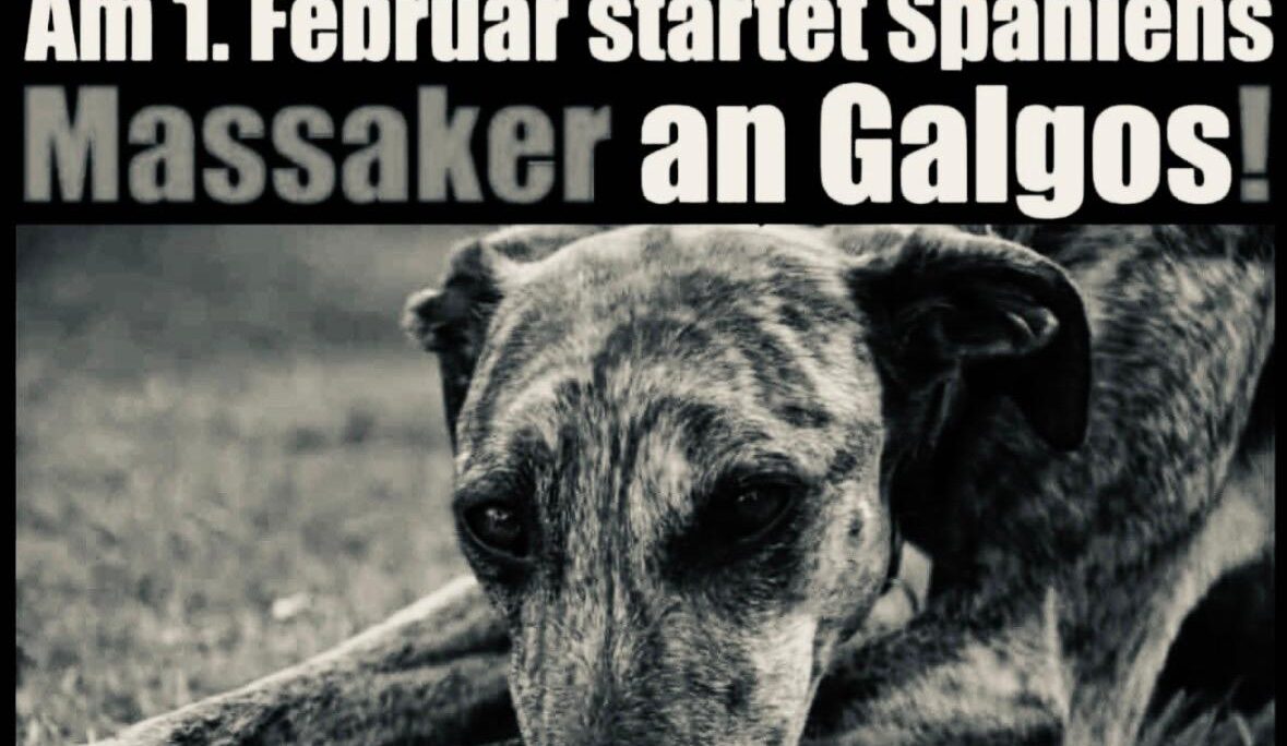 Warum wir nicht wegsehen: Ein Manifest für die zweite Chance.