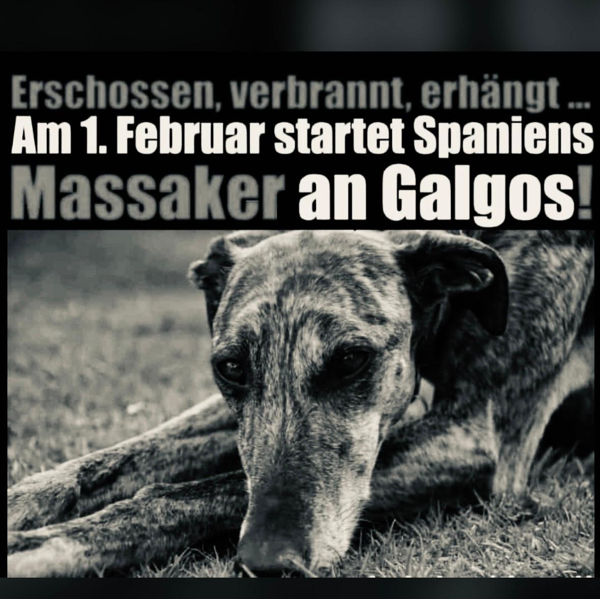 Warum wir nicht wegsehen: Ein Manifest für die zweite Chance.