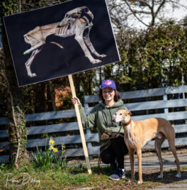 Wenn sich unsere Stimmen erheben, für die Stimmlosen
