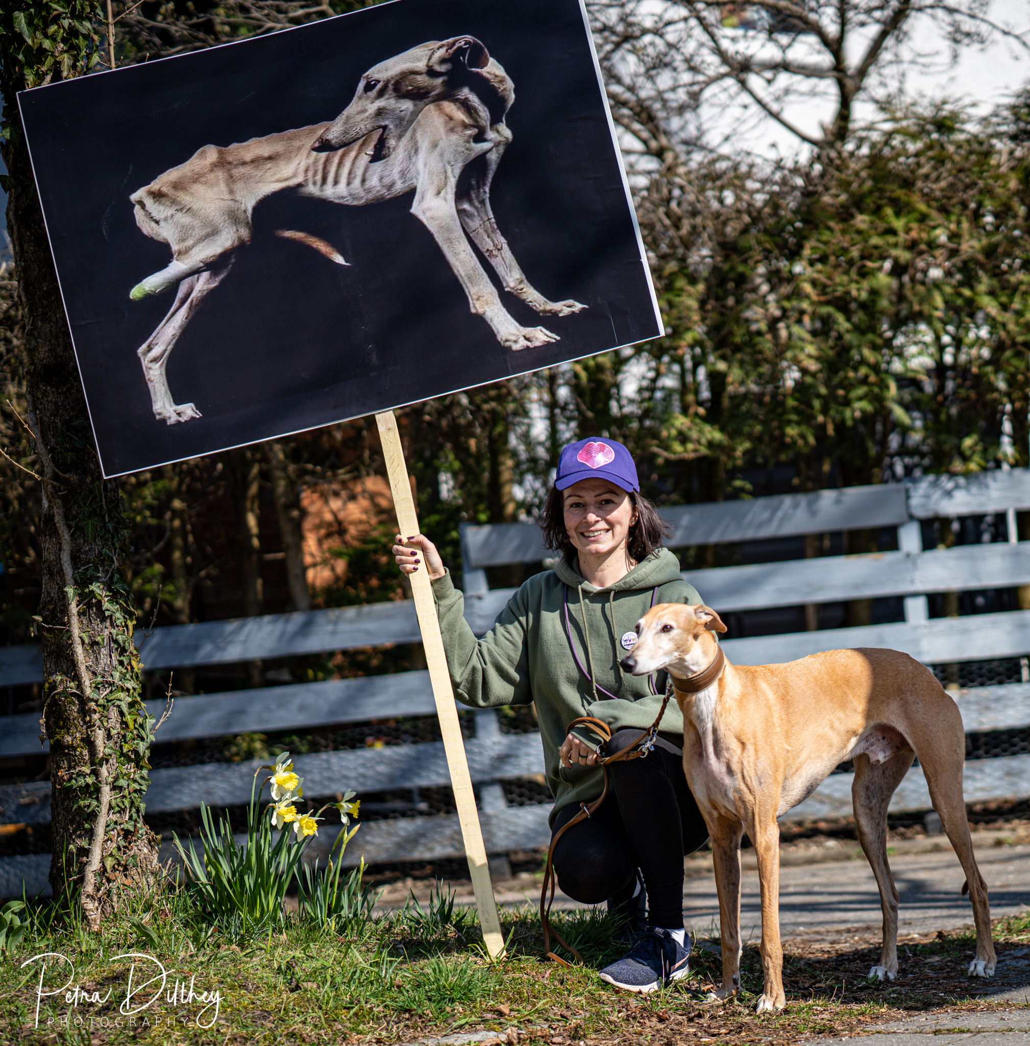 Wenn sich unsere Stimmen erheben, für die Stimmlosen