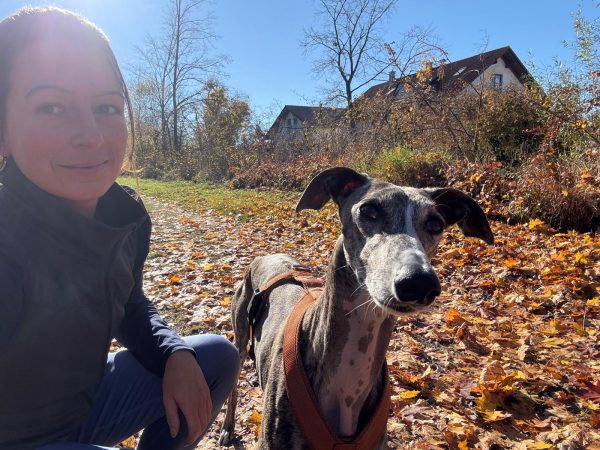 WhatsApp Image 2026-01-31 at 21.26.34